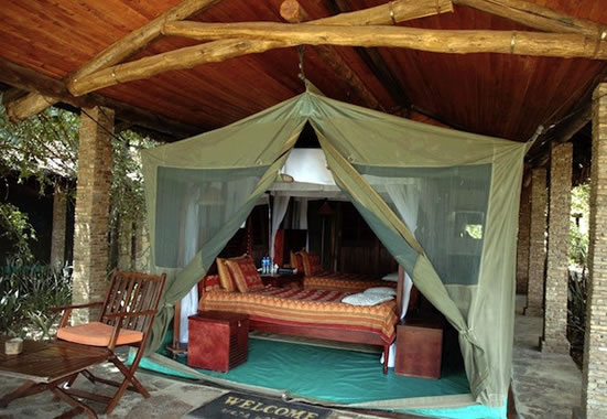Fig Tree Camp